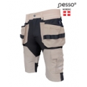 Рабочие брюки Pesso Titan Flexpro